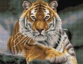 d4fb78e7db23dd2448f9a132a44fa92a